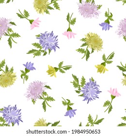 Blooming chrysanthemums in the pattern.Vector pattern with multi-colored chrysanthemums on a white background.