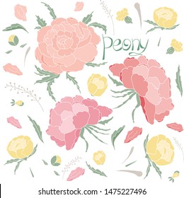 A blooming collection of peonies flowers with leaves and buds. Hand-drawn for your design in a romantic style in light pastel colors.