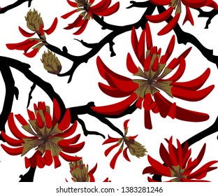 Blooming Coral Tree. Seamless Patten. Red Flowers On White Background