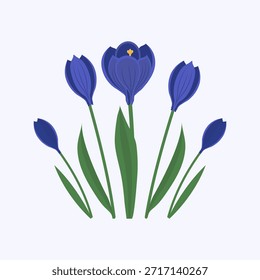 Florecimiento de azafranes, flores de primavera, floración, primavera, Feliz Día de la Madre, tarjeta de primavera