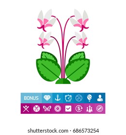 Blooming cyclamen  icon