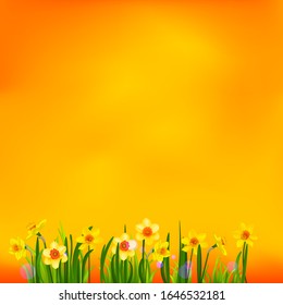 Desafíos florecientes sobre fondo amarillo. Ilustración natural de primavera con lugar para texto.