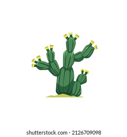 Blooming desert cactus plant flat cartoon vector illustration isolated on white background. Cactus or cacti of desert climate and drought environment flora.