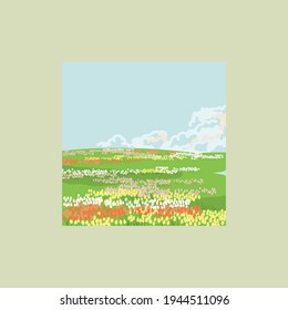 Blooming field of tulips. Holland, flower plantations. Spring landscape. White clouds over a green field. Growing plants. 