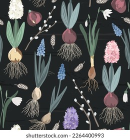 Blooming first spring flowers lie without a pot on a dark wooden background, vector seamless pattern. Hyacinths, snowdrops and muscari plants waiting for transplant.