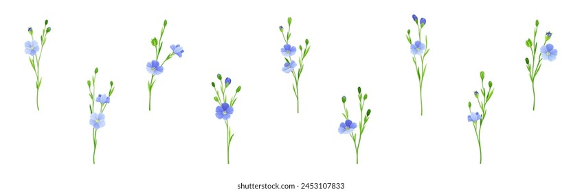 Blooming Flax Flower Plant with Green Stem Vector Set