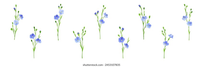 Blooming Flax Flower Plant with Green Stem Vector Set