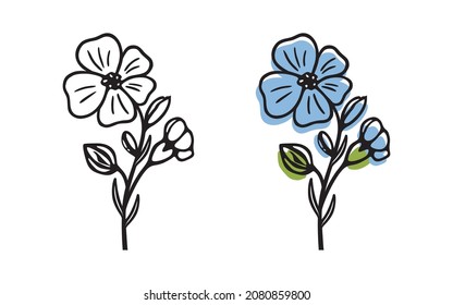 Blooming flax, single flower – hand drawn stylized vector illustration. Black and white and colored versions, isolated on white.