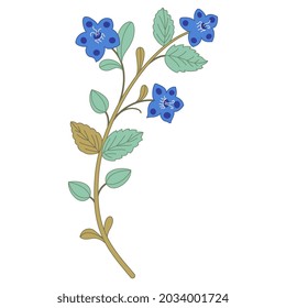 Blooming floral branch with blue flowers. Medieval illuminated manuscript design. On white background. Folk style.