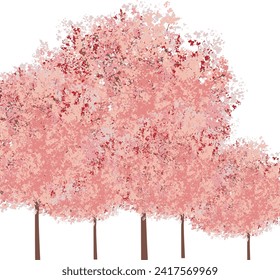 blooming floral  flower natural tree summer