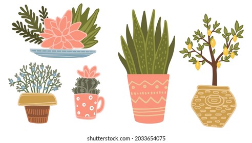 Blooming and flourishing houseplants with leaves and flowers. Blossom and decoration for home or office interior design. Potted cactus and bushes in pot, tree plant in basket. Vector in flat style