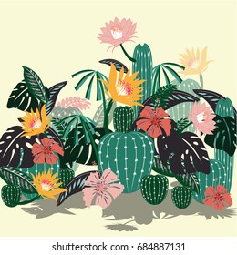 Blooming flower cactus
