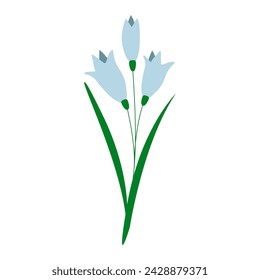 Flor floreciente de una delicada gota de nieve, onagra de los crocus del bosque. Primera flor de primavera de flores silvestres. Dibujado a mano ilustración vectorial en estilo de dibujos animados planos.