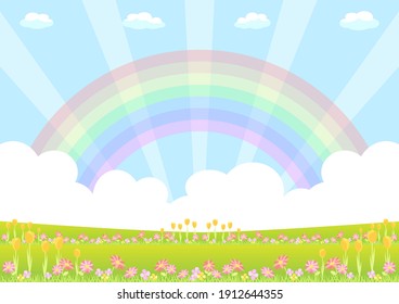 blooming flower field and rainbow in the blue sky 