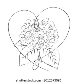 Blooming flower hydrangea with heart on white background.