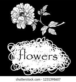 blooming flower with the inscription flowers