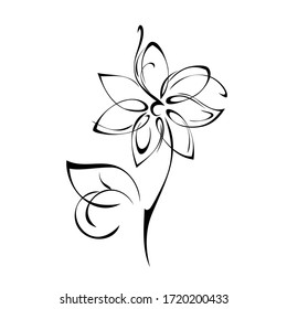 blooming flower with large petals on a stem with a leaf in black lines on a white background