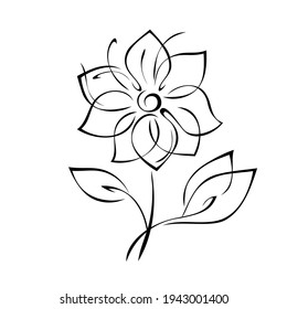 blooming flower with large petals on a short stem with leaves in black lines on a white background