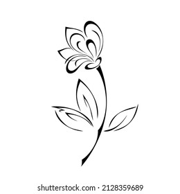 blooming flower with large petals on the stem with leaves. graphic decor