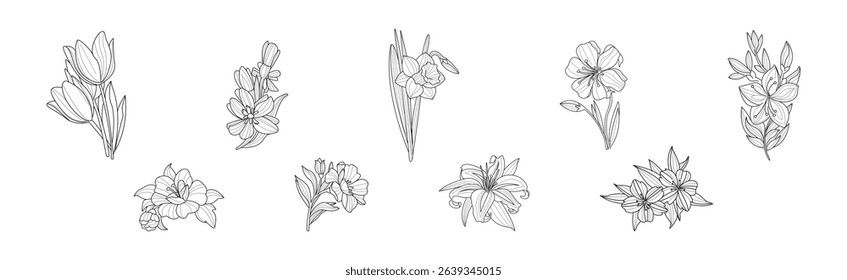 Blooming Flower and Lush Garden Flora Line Vector Set