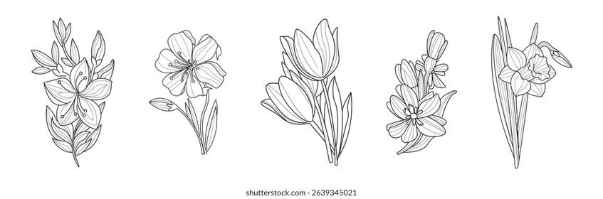 Blooming Flower and Lush Garden Flora Line Vector Set