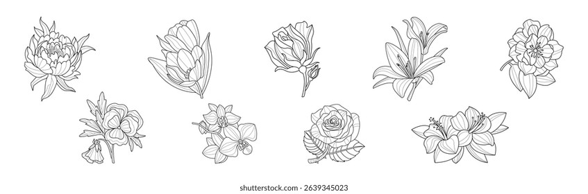 Blooming Flower and Lush Garden Flora Line Vector Set