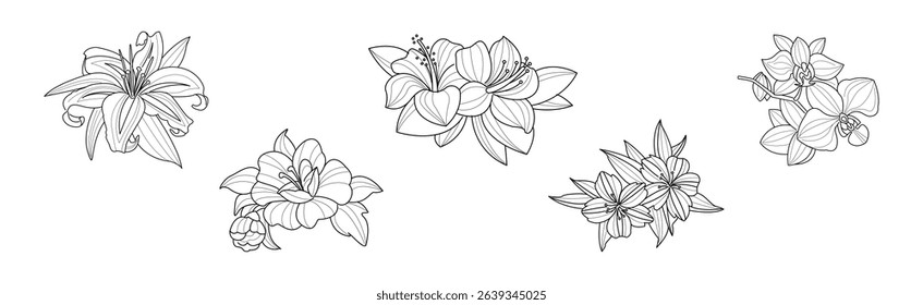 Blooming Flower and Lush Garden Flora Line Vector Set