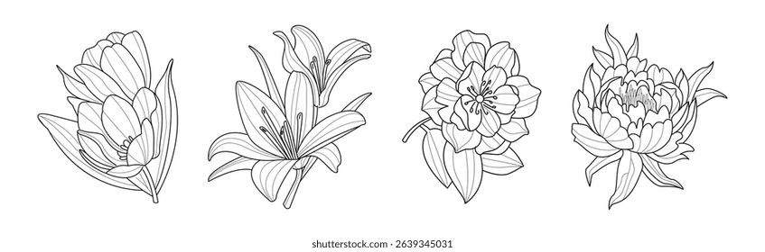 Blooming Flower and Lush Garden Flora Line Vector Set