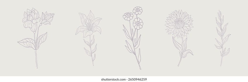 Flor florescente e jardim exuberante conjunto de vetor da linha da flor