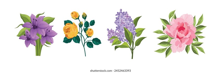 Blooming Flower on Green Stem as Garden Botany Vector Set