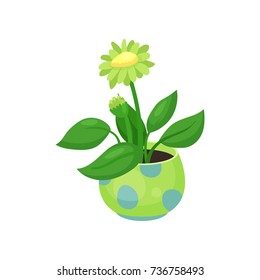 Blooming flower in a pot vector illustration