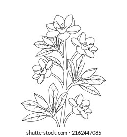 flor floreciente de plantilla de impresión colorear línea de página ilustración de diseño