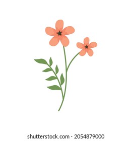 blooming flower printable decor vector illustration design eps.10