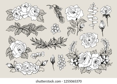 Blooming flower. Set collection. Hand drawn vintage blossom branches on brown background. Vector illustration. Roses, peony, eucaliptus, leaves. Can use for greeting cards, wedding invitations