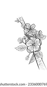 blooming flower sketch design illustration