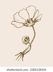 Blooming flower with small bud