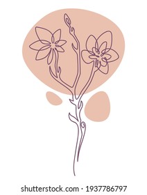 Blühende Blume mit zarten Blüten und Stamm, isolierte minimalistische Skizze der Botanik. Kräuter oder pflanzliches Element, Bouquet oder Etikett für Bio-Produkte oder Blumengeschäfte. Vektorgrafik im Flachstil