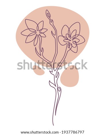 Blooming flower with tender petals and stem, isolated minimalist sketch of botany. Herbs or botanic element, bouquet or label for organic products or florist shops and stores. Vector in flat style