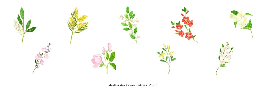 Blooming Flower Twig and Branch with Leaf Vector Set