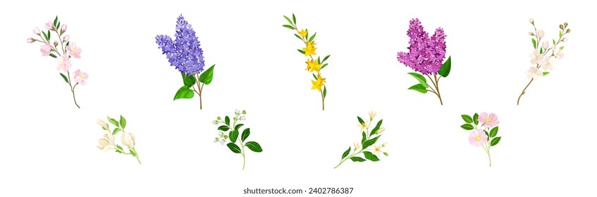 Flor y rama con conjunto de vectores de hojas