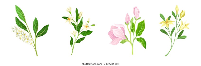 Blooming Flower Twig and Branch with Leaf Vector Set