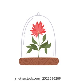 Blooming flower under a glass cover. Plant in a container. Flat style vector illustration isolated on white background