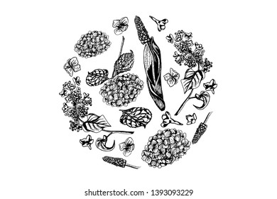 Blooming flowers, leaves items composed in circle shape. Hydrangea, muscari, lilac flora, hand drawn in black and white. For design, greeting, romantic card.