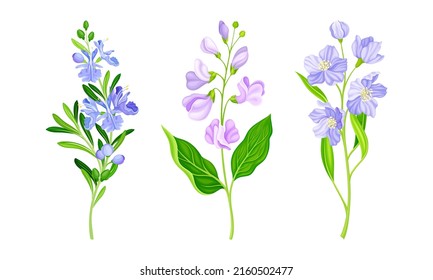 Flores florecientes, praderas o plantas de huerto son ilustraciones vectoriales