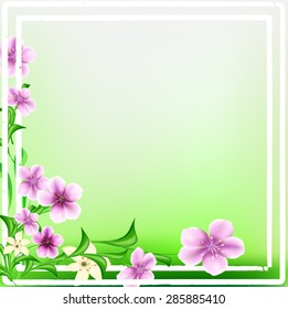 blooming flowers on the white frame, summer bright background