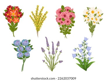 Blooming flowers set, plants with stems and leaves. Decorative floral design elements. Botanical vector illustration isolated on white background. Gift bouquets.