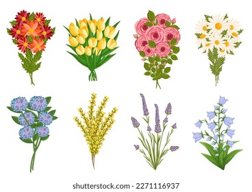 Blooming flowers set, plants with stems and leaves. Decorative floral design elements. Botanical vector illustration isolated on white background. Gift bouquets.