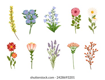 Blooming flowers set, plants with stems and leaves. Decorative floral design elements. Botanical vector illustration isolated on white background.