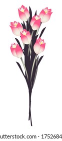 Blooming flowers, tulips