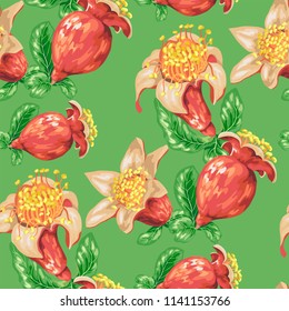 Blooming fruit flower of pomegranate tree in seamless pattern in realistic vector graphic iilustration